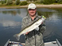 zanderfangfoto elbe-boot